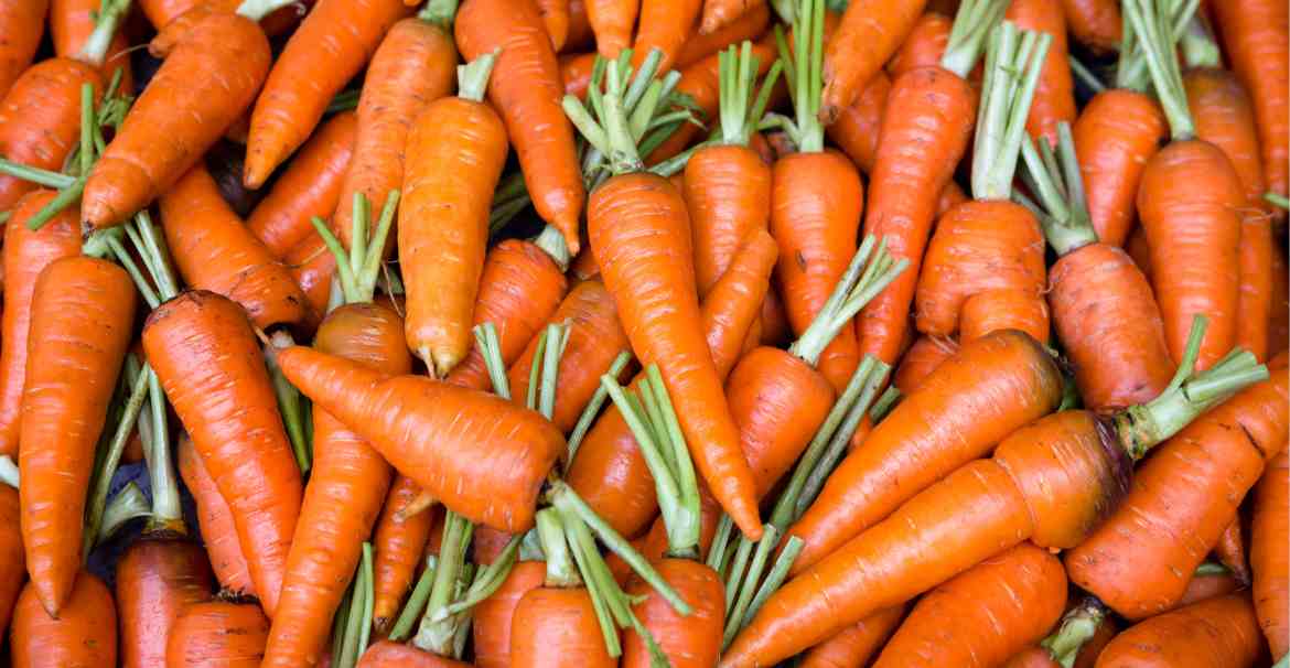 ¿Cómo conservar la zanahoria?