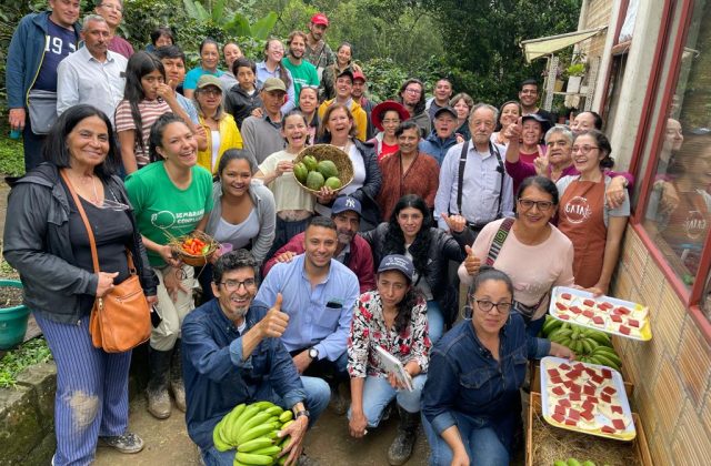 Productores Cachipay